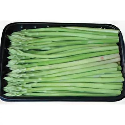 Mini green asparagus (Asparagus officinalis)