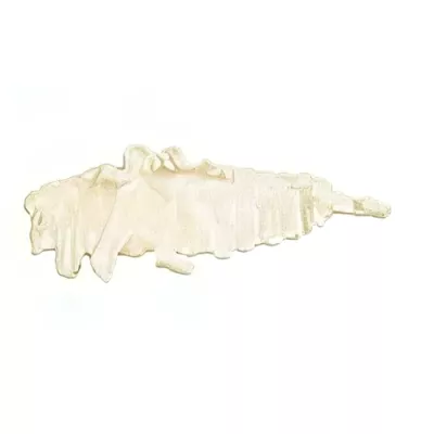 Salt Cod "Trippa" swim bladder