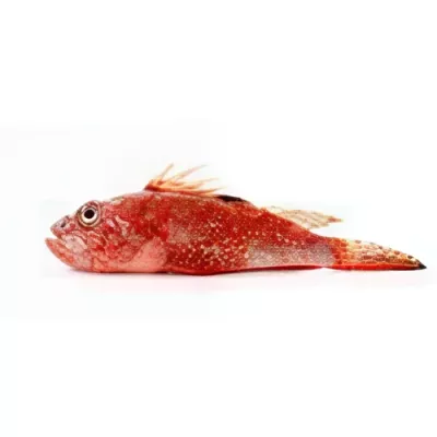 Scorpionfish