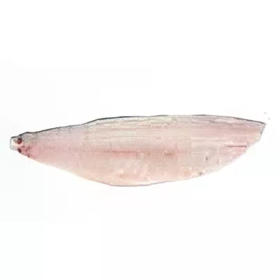 Sea Bass Fillet premium