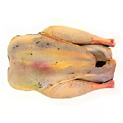 Headless hunted pheasant