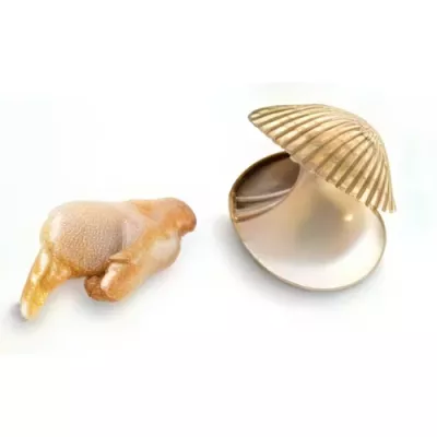 Shelled Cockle