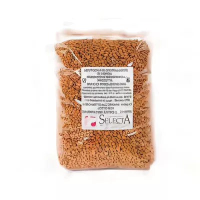 Castelluccio di Norcia PGI lentils (Lens culinaris)