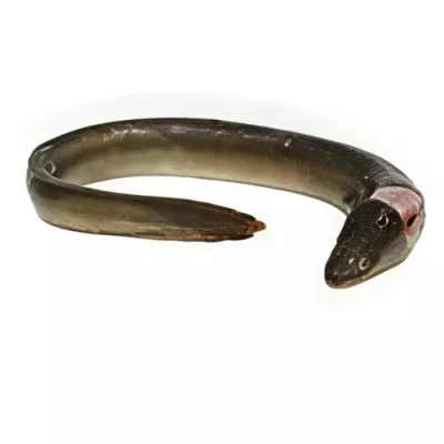Gutted Eel