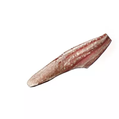 Shi Drum Fillet Premium Cut